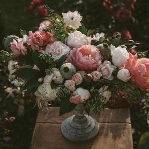 咸鱼的盛精男校漫画
